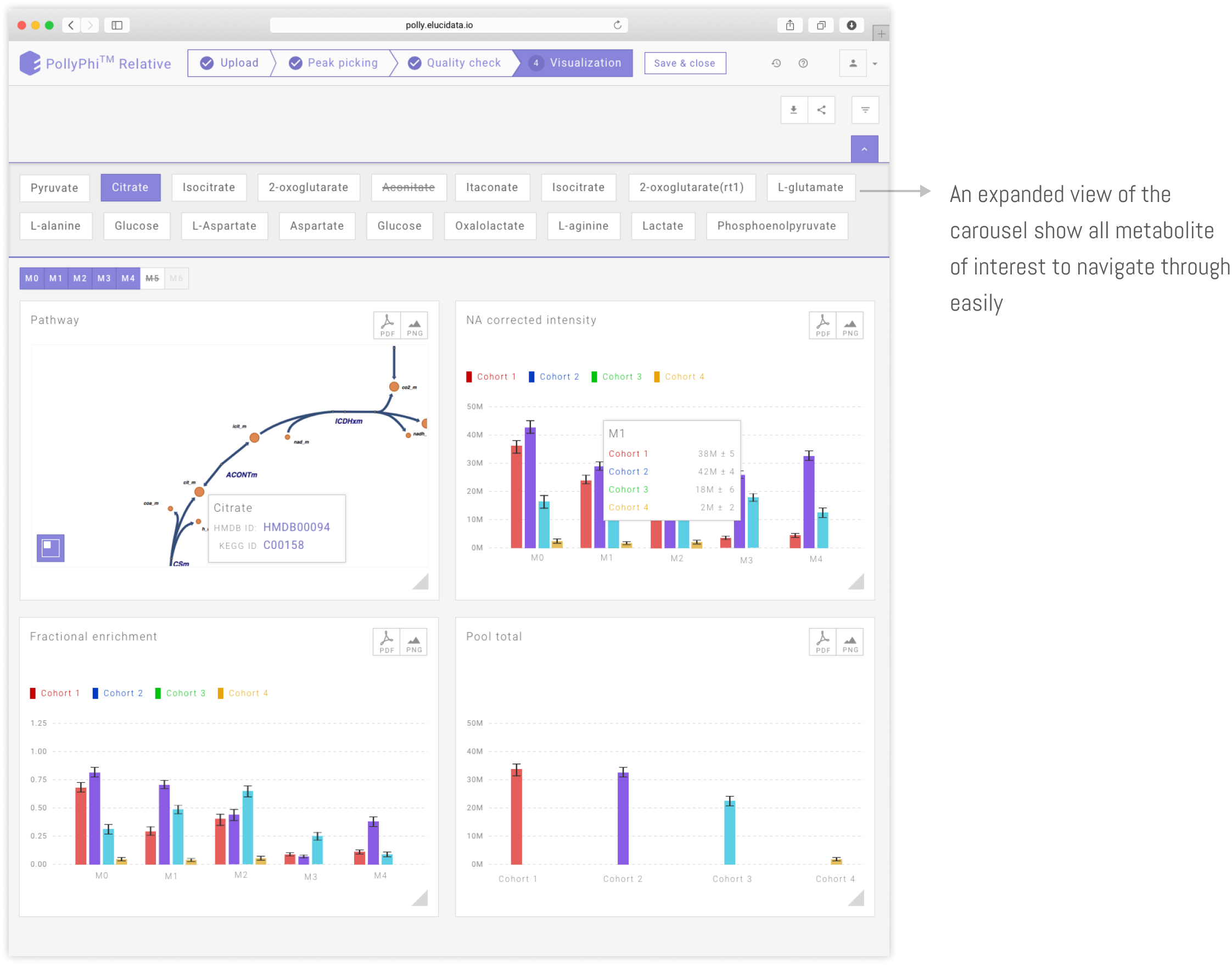 Expanded view of pathway visualization screen of polly